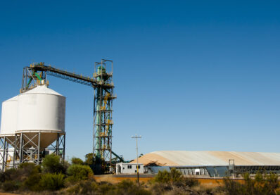 Australian Grains