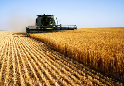 What’s driving Australia’s grain market in 2025
